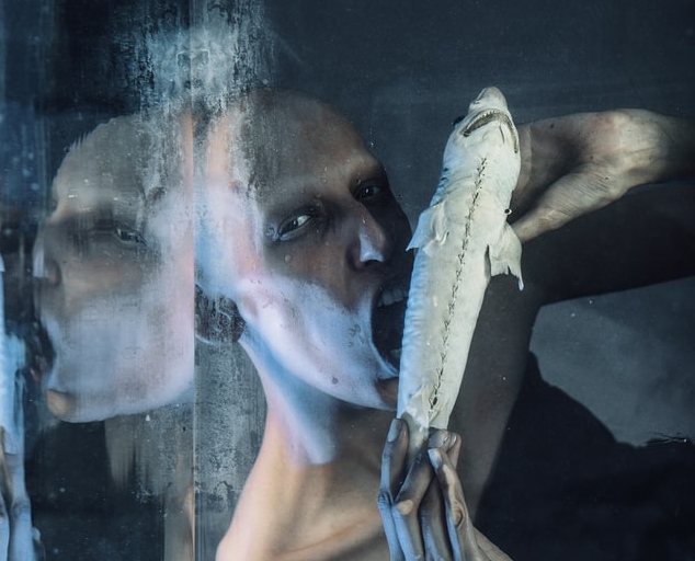 Kopenhagen und Nuuk schlagen Nato-Mission auf Grönland vor