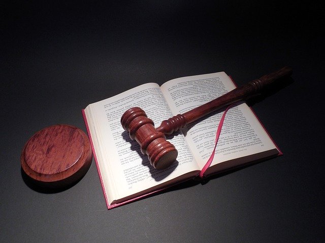 Höcke vor Gericht – WELT-Sondersendung zum ersten Prozesstag in Halle