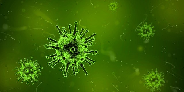 Diese Viren könnten die nächste Pandemie auslösen