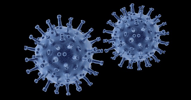 Diese Viren könnten die nächste Pandemie auslösen