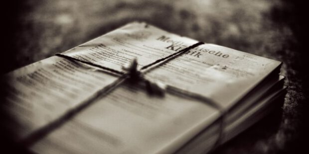 Gängige Erklärung für Vormarsch der Bettwanzen durch neue Studie widerlegt